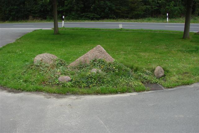 DSC00495
