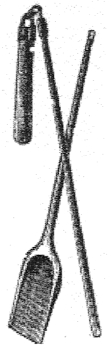 Dreschflegel