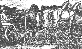 Grasmaehmaschine