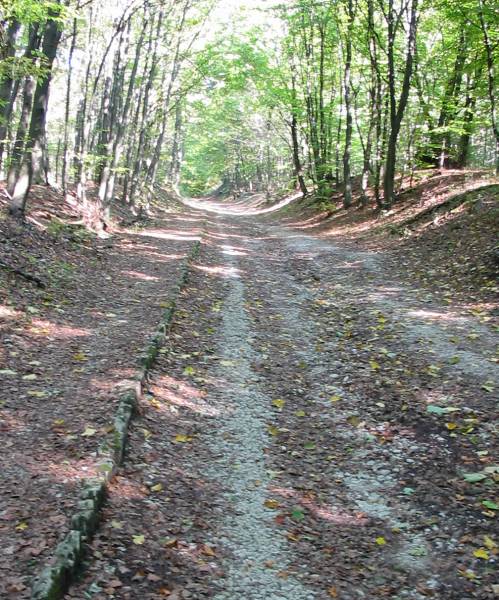 Hellweg Hellweg