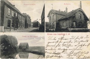 Lippborg-AK-1905