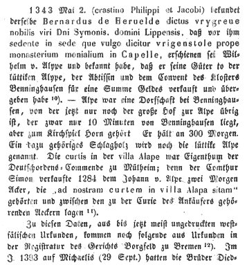 topo-lippe-3